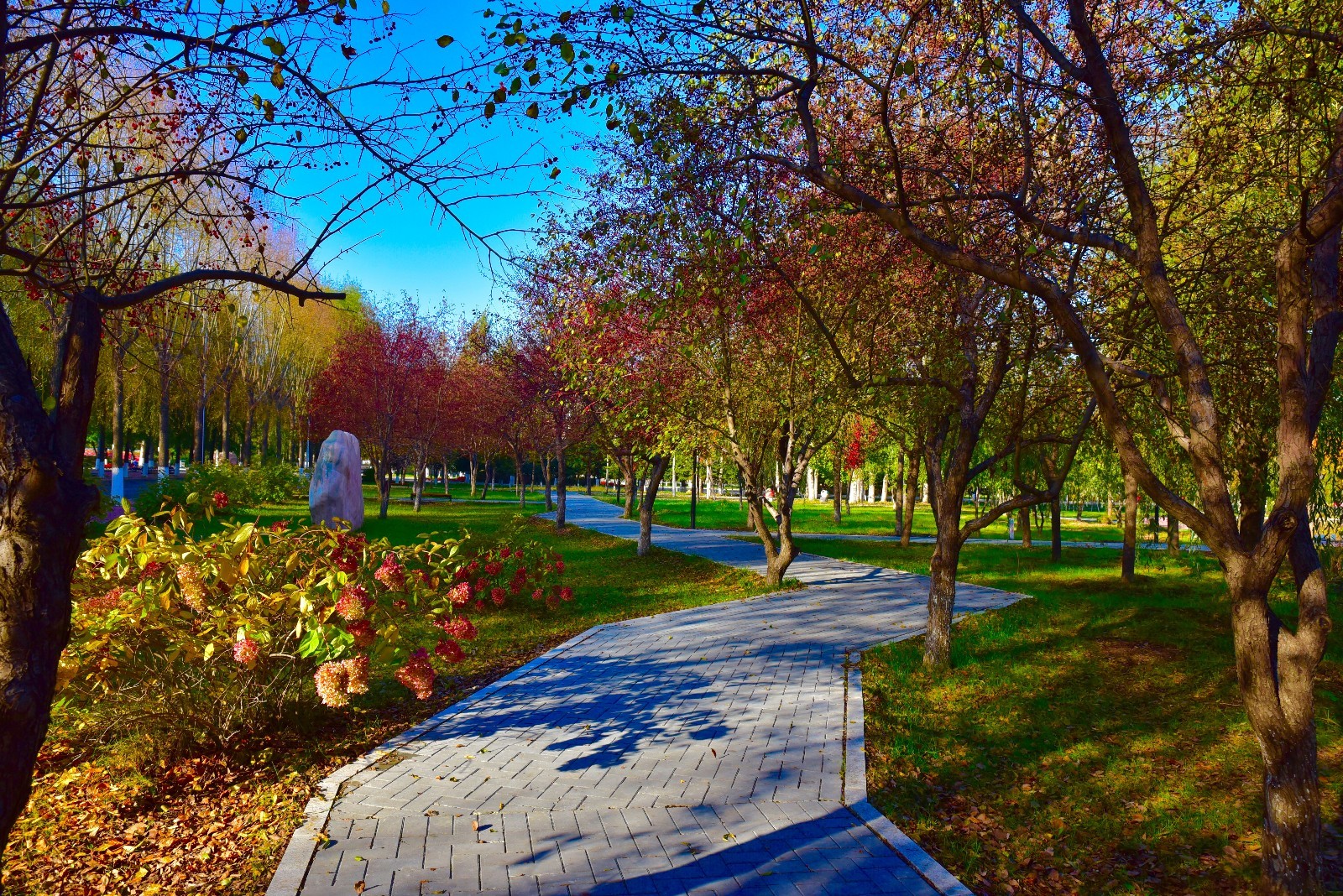 吉林财经大学校园景观